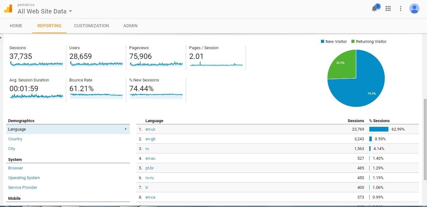 Visitor Analysis Report