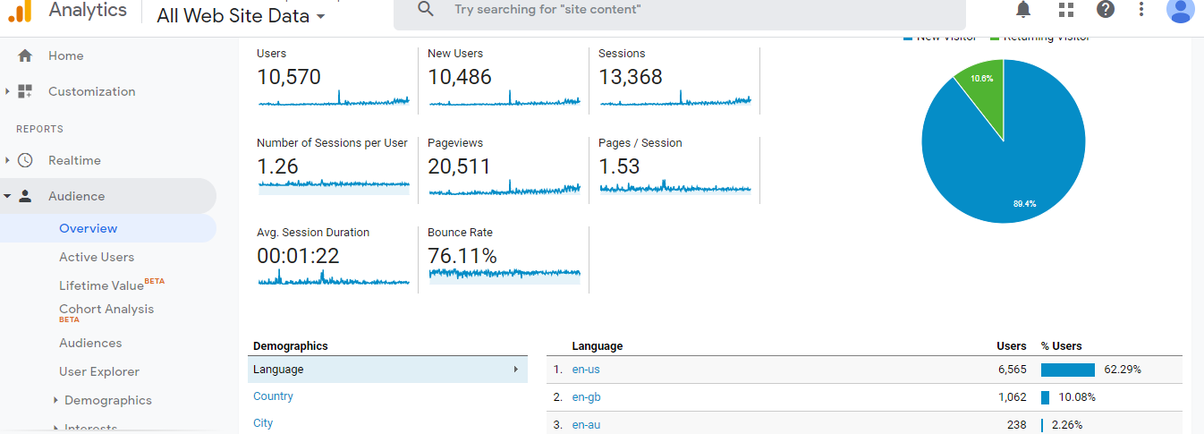 Visitor Analysis Report